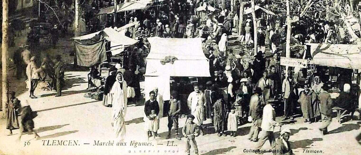 680- Tlemcen - Marche aux legumes2.jpg